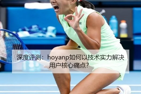 深度评测：hoyanp如何以技术实力解决用户核心痛点？