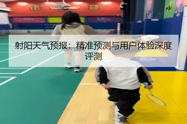 射阳天气预报：精准预测与用户体验深度评测